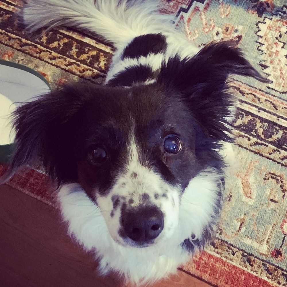 Meet your Posher, Christen